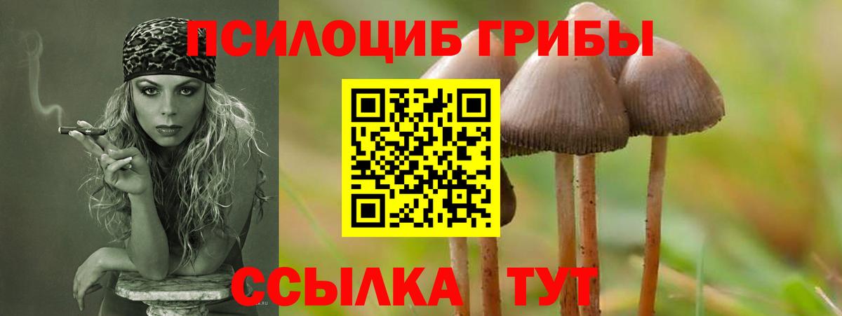 Псилоцибиновые грибы MAGIC MUSHROOMS  Вход с VPN  Галлюциногенные грибы мицелий  Советск 